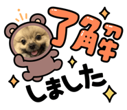573818880