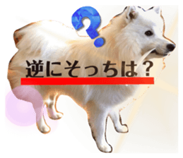 573837945