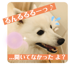 573837946