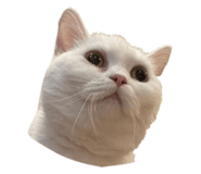 573912701