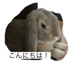 573954030