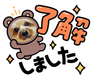 573954446