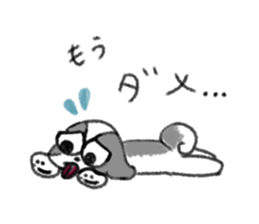 574002564