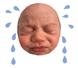 574036117
