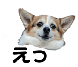 574091820