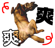 57411855