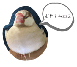 574129713