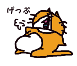 5741531