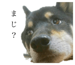 574227462