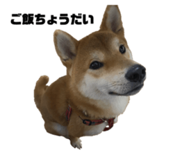574227466