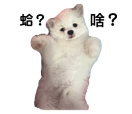 574295494