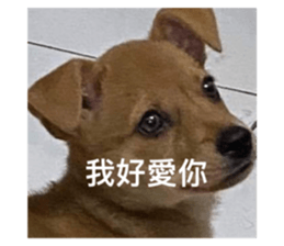 574300429