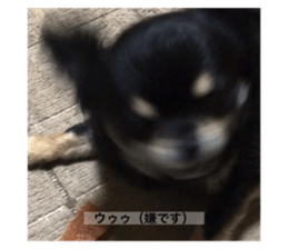574301621