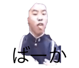 574331937