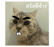 574348998