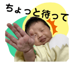 574423813