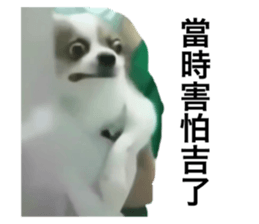 574455579