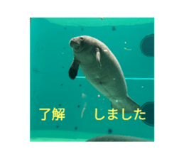 574551342