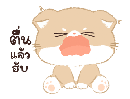 เจ้าเหมียวชานม 2 รูปที่ 13