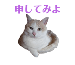574562830