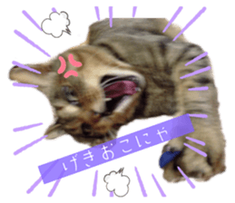 574563055