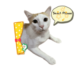 574569992