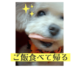 574623095