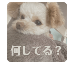574638916