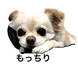 574700182