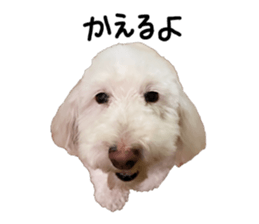 574729465