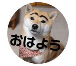 574784369