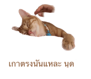 574816984