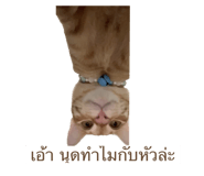 574816989