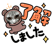 574828865