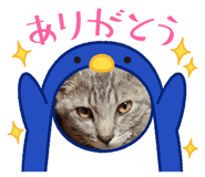 574828871