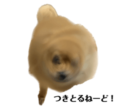 574849967