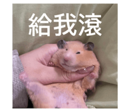 574866269