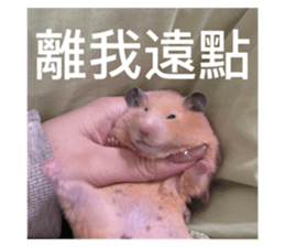 574866270