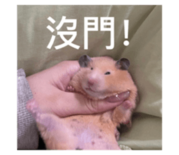 574866272