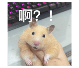 574866283