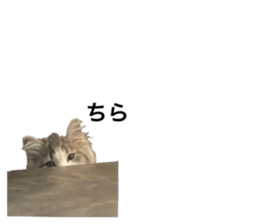 574904859