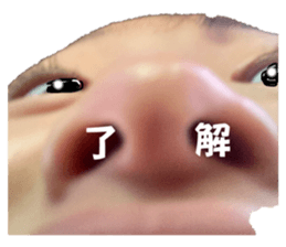 574934475