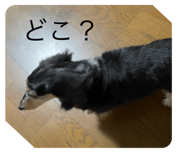 574936515