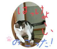 574942436