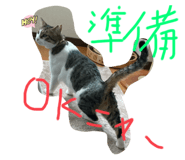 574942437