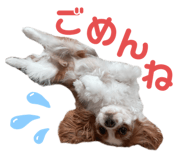 574943594