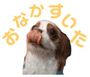 574943604