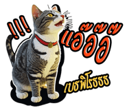 575058400