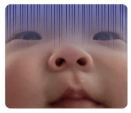 575081873