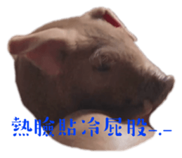 575128394